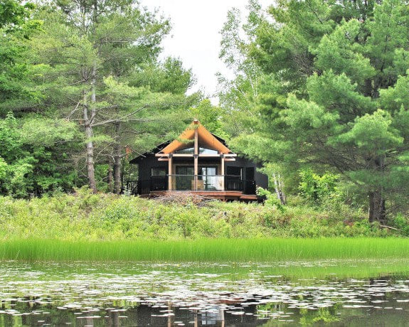 The Coorie Cabin nestled amongst birch trees overlooking Pine Brae Pond